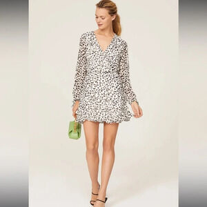 Great Jones dress sz XS leopard print surplice dress cinched waist from Revolve